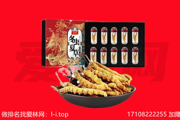 湘东区回收虫草.jpg